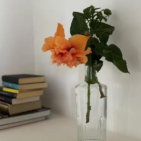 Le Pavoncelle Holiday home Lotzorai