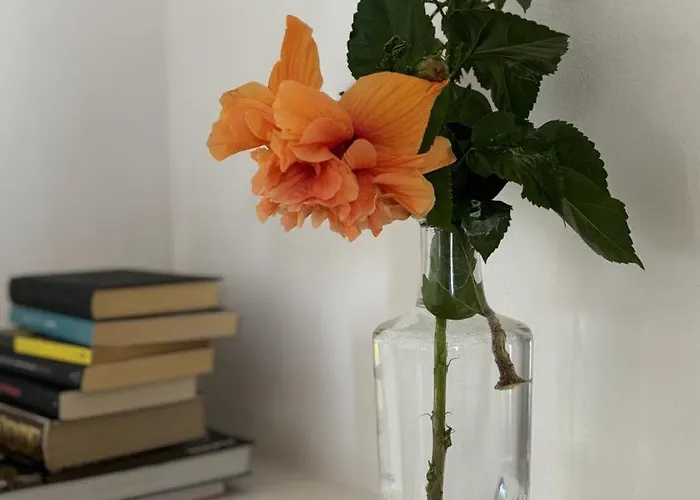 Le Pavoncelle Nyaraló Lotzorai